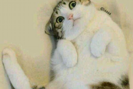 孝南专业催债公司的市场需求和前景分析